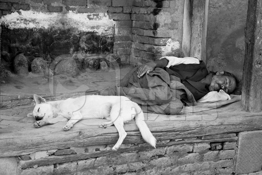 Street dog and man lying sleeping on ground in black and white