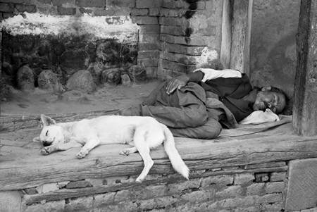 Street dog and man lying sleeping on ground in black and white