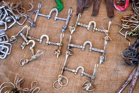 Indian horse spiked or thorn bits at Nagaur Cattle Fair, Nagaur, Rajasthan, India, 2022