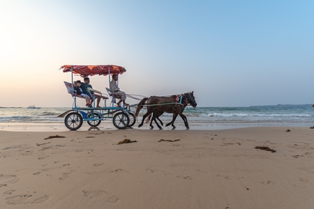 Indian horses giving carriage rides for entertainment to tourists on the beach in Maharashtra, India, 2020