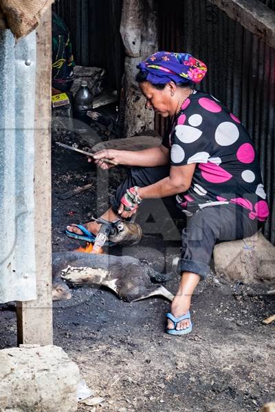 Dogs clubbed to death, blowtorched, then sold for meat at a dog market in Nagaland, India, 2018
