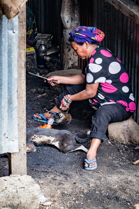 Dogs clubbed to death, blowtorched, then sold for meat at a dog market in Nagaland, India, 2018