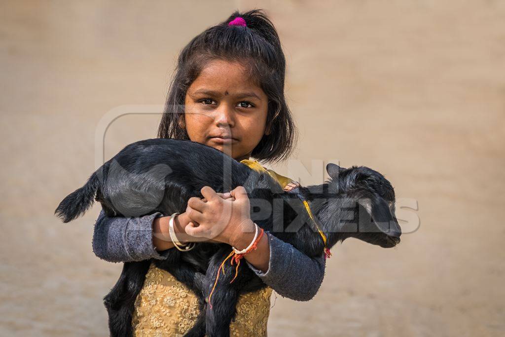 Small girl holding baby goat in her arms with brown background