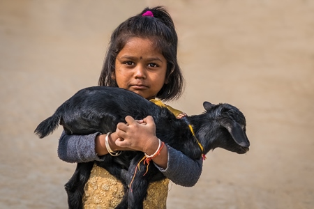 Small girl holding baby goat in her arms with brown background