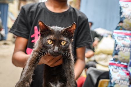 Boy holding black stray or street cat in lane, Pune, Maharashtra, India, 2023