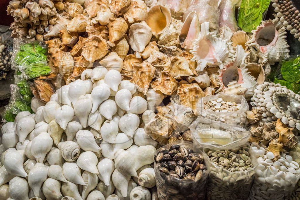 Marine shells for sale in shop in tourist beach resort in Goa, India