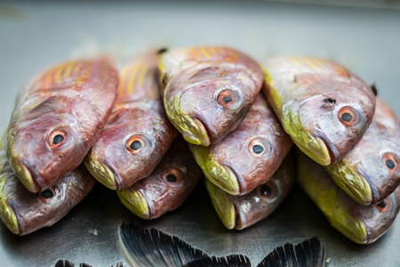 Fish on sale at a stall in an urban city