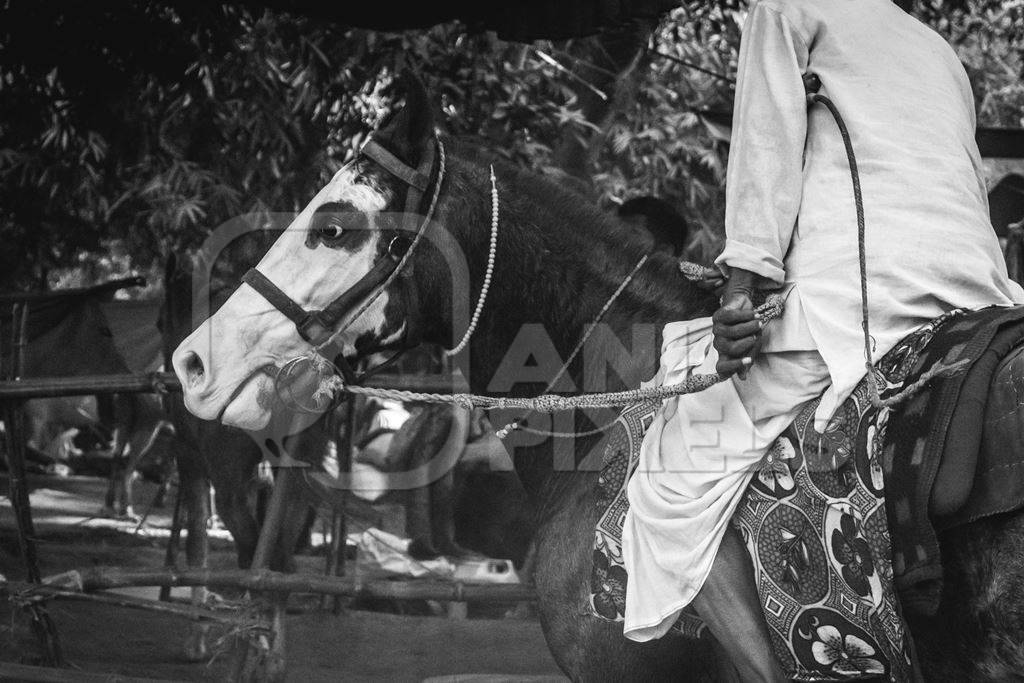 Man riding horse in horse race at Sonepur horse fair in black and white