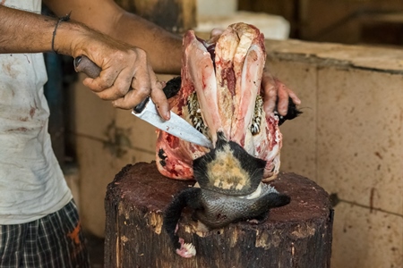 Butcher cutting head of buffalo with a knife in Crawford meat market