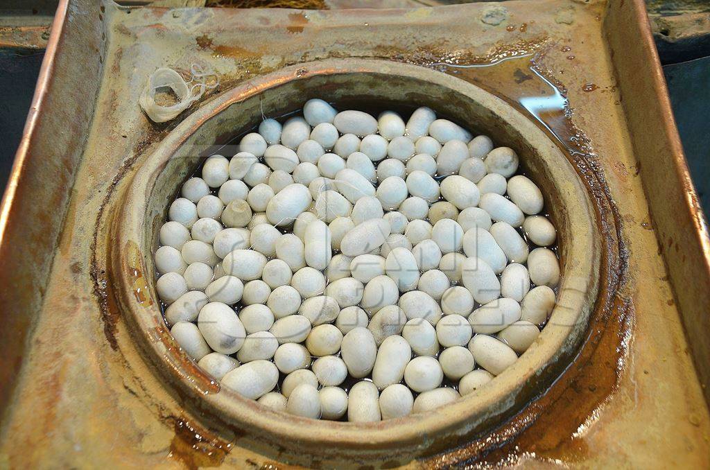 Silk worm cocoons being boiled in water