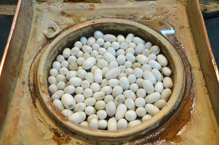 Silk worm cocoons being boiled in water