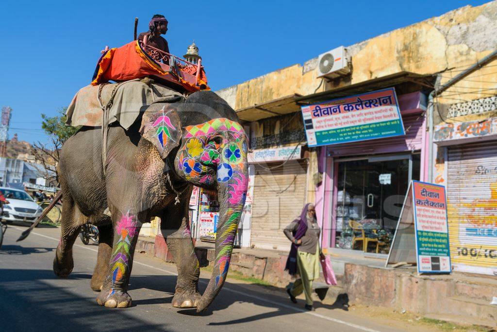 Painted elephant used for entertainment tourist ride walking on street in Ajmer