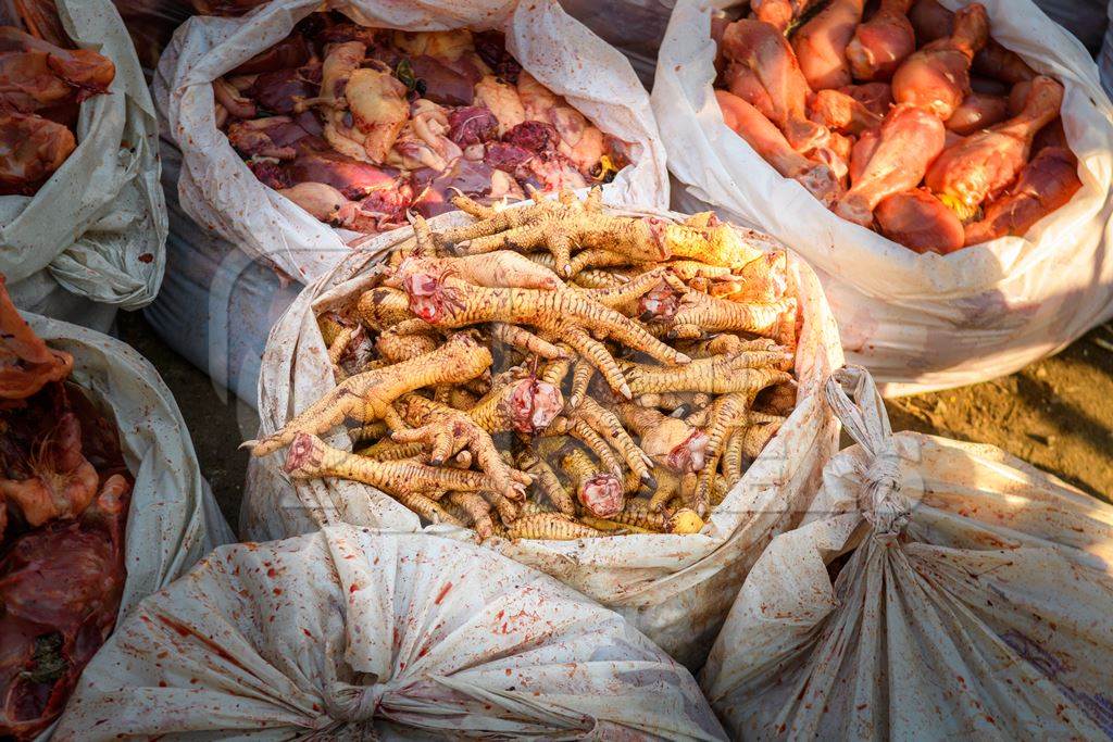 Plastic bags of legs of Indian broiler chickens on sale at Ghazipur murga mandi, Ghazipur, Delhi, India, 2022