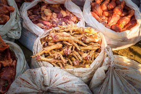 Plastic bags of legs of Indian broiler chickens on sale at Ghazipur murga mandi, Ghazipur, Delhi, India, 2022