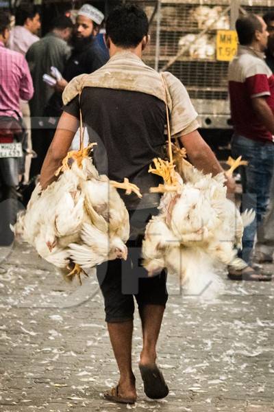 Man carrying broiler chickens in a bunch upside down tied with string near Crawford meat market