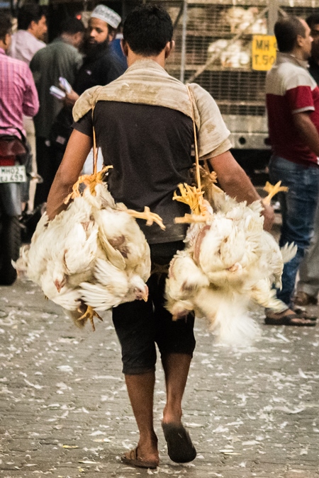 Man carrying broiler chickens in a bunch upside down tied with string near Crawford meat market