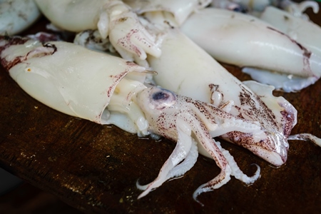 Squid or cuttlefish  on sale at a fish market