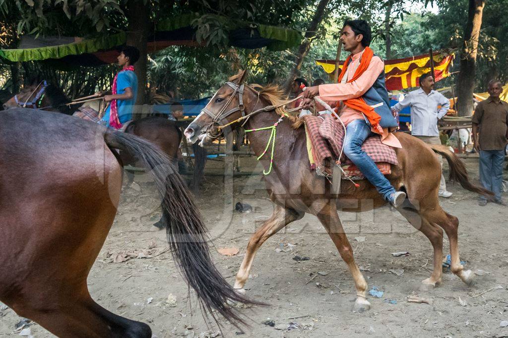 Horse in a horse race at Sonepur cattle fair with spectators watching