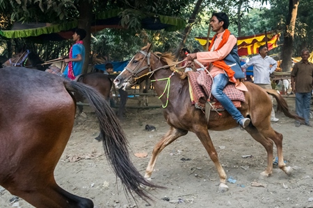 Horse in a horse race at Sonepur cattle fair with spectators watching