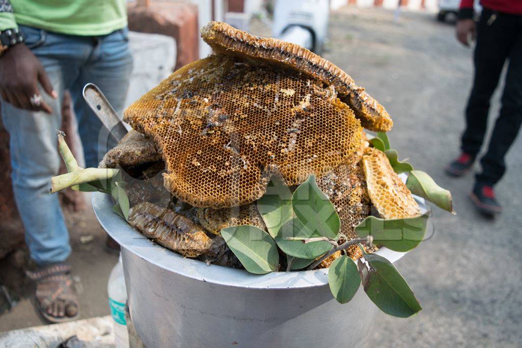 Pieces of yellow honeycomb with dead honey bees visible on sale on the side of the road