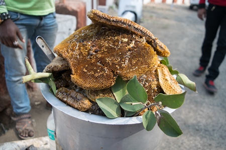 Pieces of yellow honeycomb with dead honey bees visible on sale on the side of the road