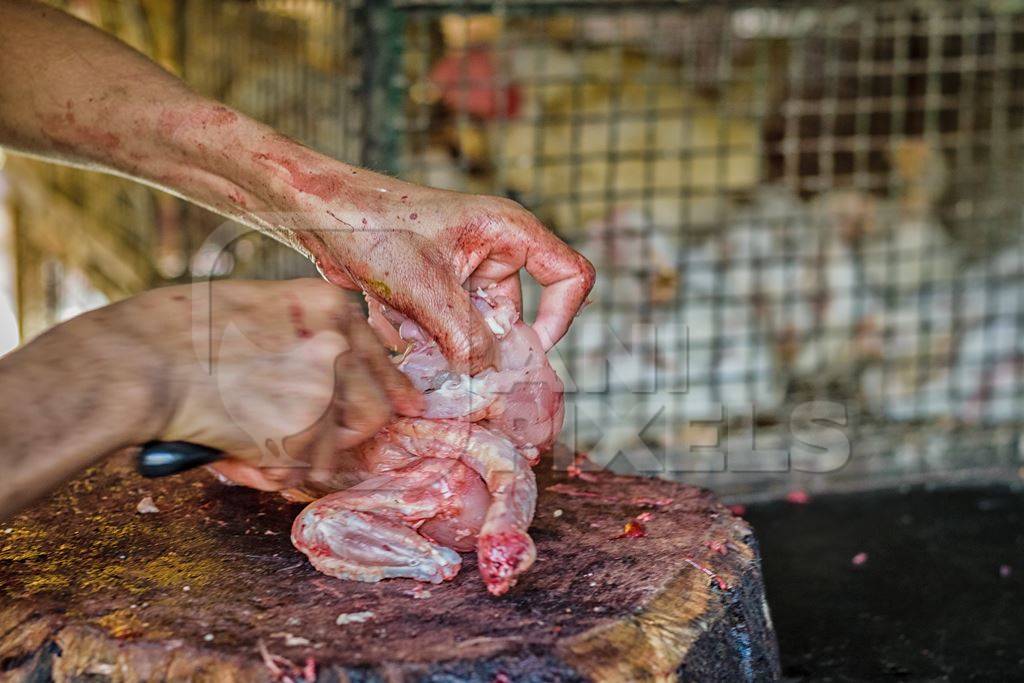 Butcher chopping up chicken at chicken shop at Crawford meat market