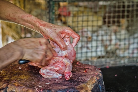 Butcher chopping up chicken at chicken shop at Crawford meat market