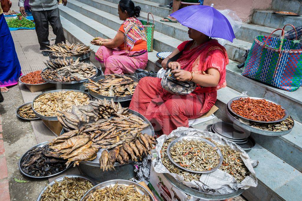 Women selling dried fish and other creatures in the street