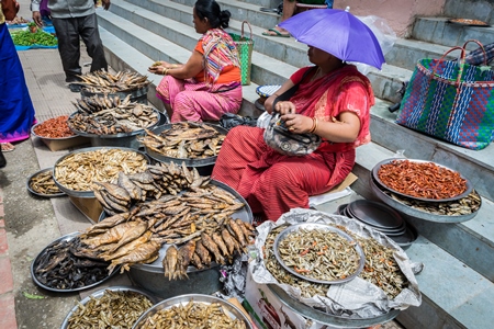 Women selling dried fish and other creatures in the street