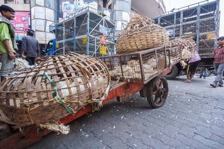 Broiler chickens raised for meat being unloaded from transport trucks near Crawford meat market in Mumbai