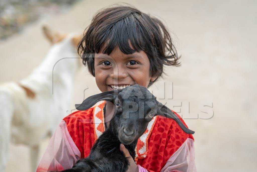 Indian girl smiling and holding cute baby goat in village in rural Bihar :  Anipixels