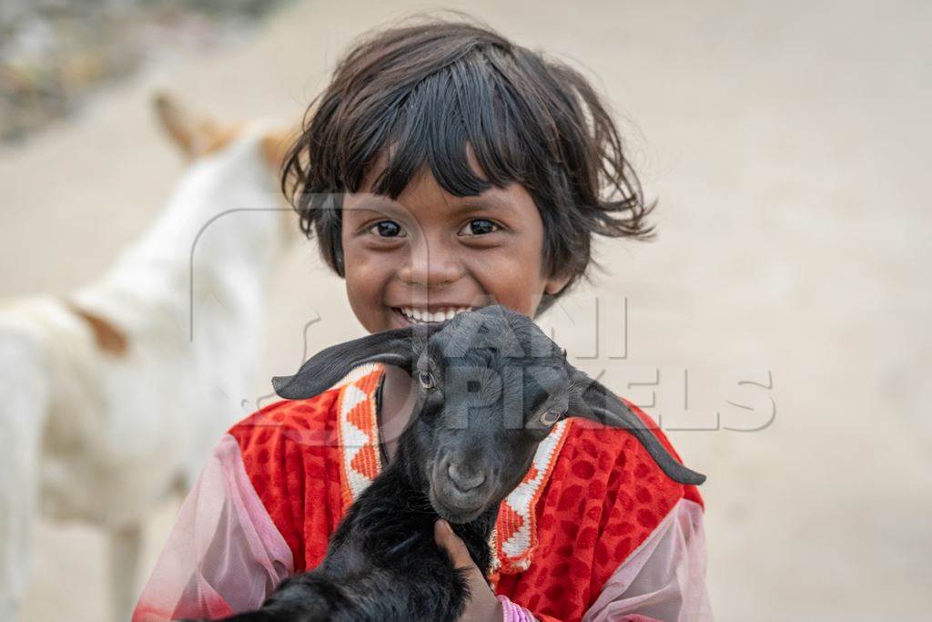 Indian girl smiling and holding cute baby goat in village in rural Bihar