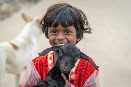 Indian girl smiling and holding cute baby goat in village in rural Bihar