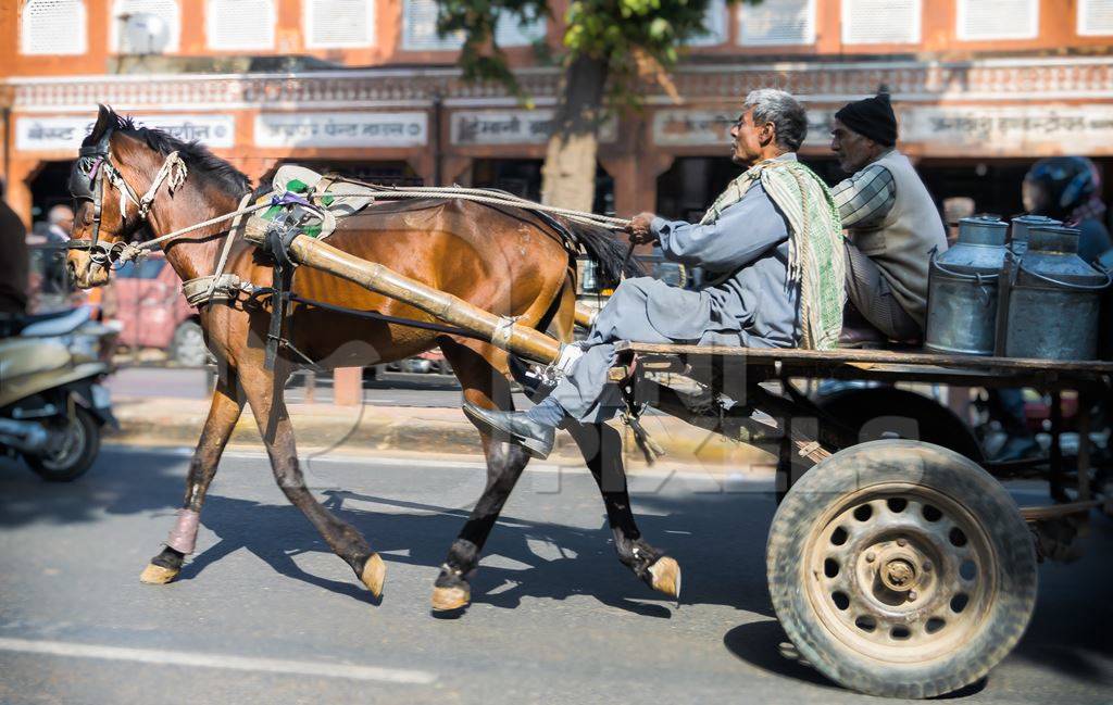 Horse in harness on road pulling dairy cart with two men