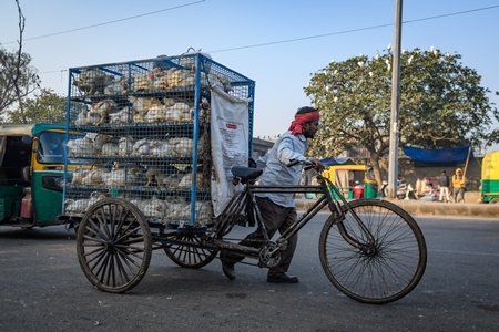 Man pushing a tricycle chicken cart with Indian broiler chickens in cages at Ghazipur murga mandi, Ghazipur, Delhi, India, 2022