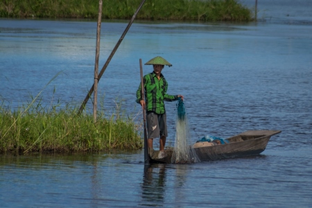 Fisherman fishing from a boat with a net on Loktak Lake