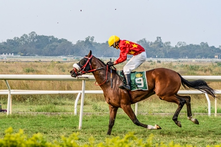 Indian horse racing in horse race at Pune racecourse, Maharashtra, India, 2021