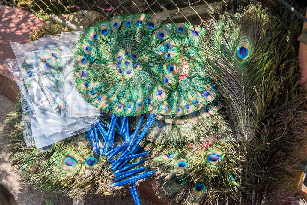 Sellers with green peacock feather fans on sale in street