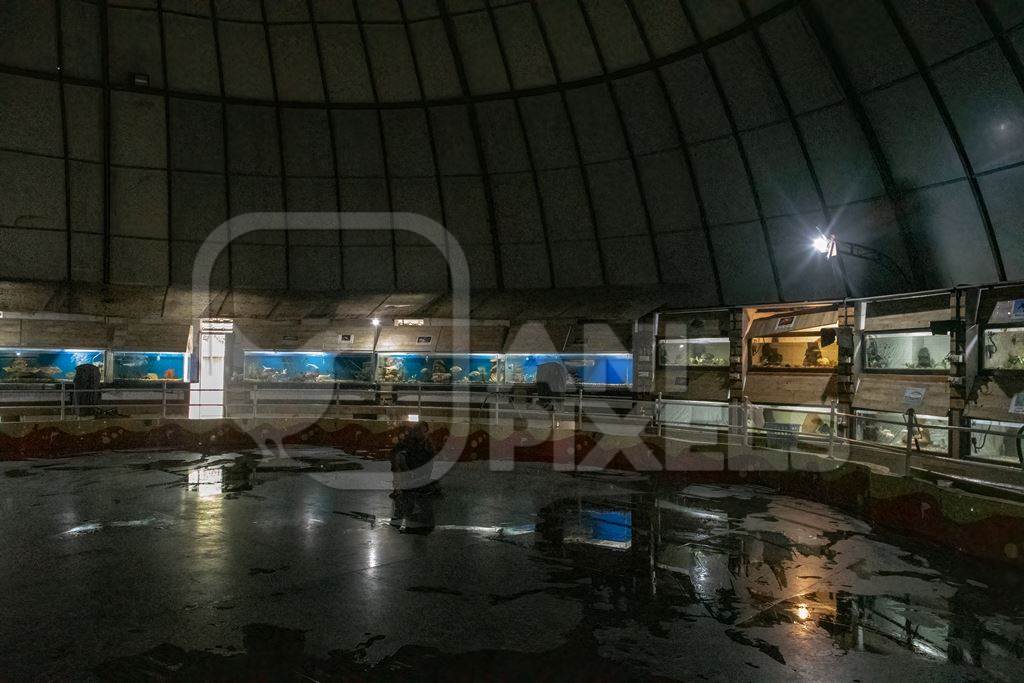 Rows of aquarium tanks containing exotic fish at Dolphin aquarium mini zoo in Mumbai, India, 2019