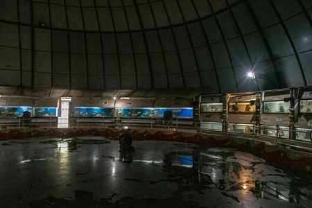 Rows of aquarium tanks containing exotic fish at Dolphin aquarium mini zoo in Mumbai, India, 2019