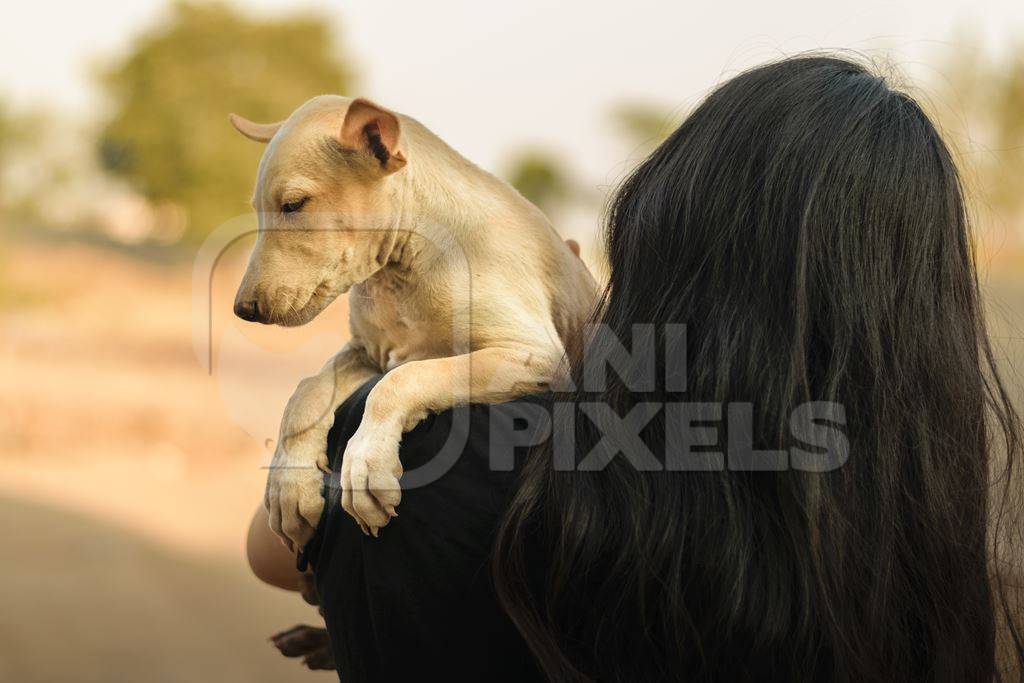 Volunteer animal rescuer girl holding a pale brown street puppy in her arms