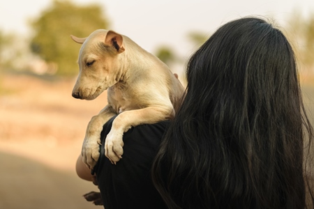 Volunteer animal rescuer girl holding a pale brown street puppy in her arms