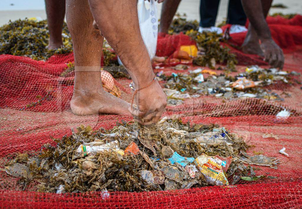 Indian fishing nets with crabs, small fish and plastic pollution trapped in net, on beach in Maharashtra, India, 2022