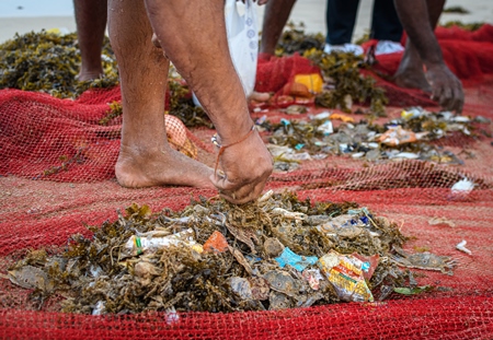 Indian fishing nets with crabs, small fish and plastic pollution trapped in net, on beach in Maharashtra, India, 2022