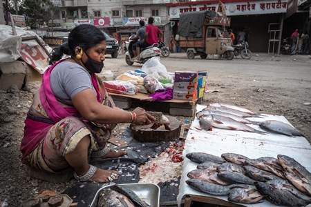 Roadside Indian fish stall or market with woman descaling fish in Pune, India, 2021
