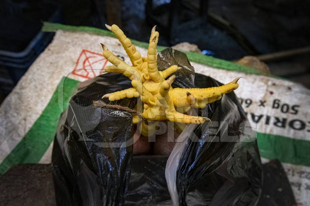 Bunch of chicken feet tied up at the chicken meat market inside New Market, Kolkata, India, 2022