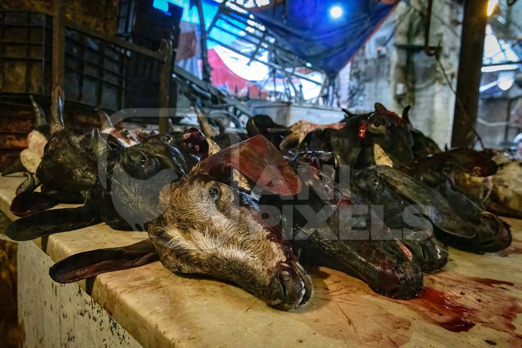 Heads of butchered goats and sheep at the meat market inside New Market, Kolkata, India, 2022