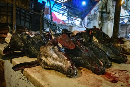 Heads of butchered goats and sheep at the meat market inside New Market, Kolkata, India, 2022