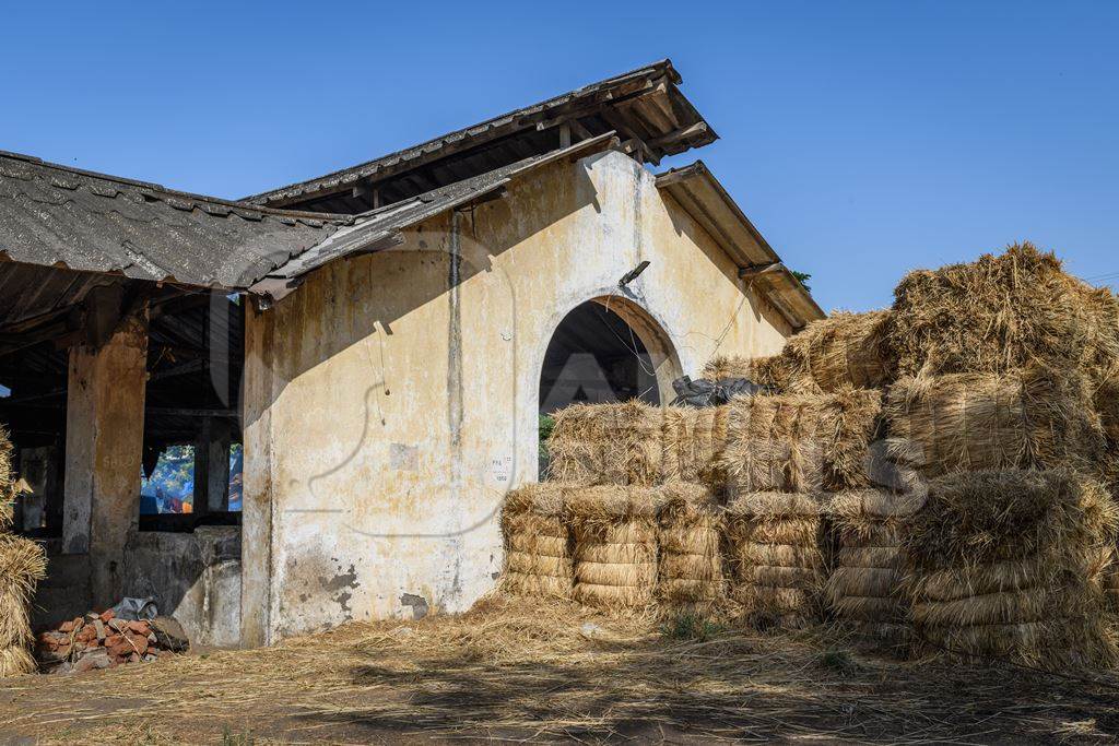 Hay bales outside a concrete shed on an urban dairy farm or tabela, Aarey milk colony, Mumbai, India, 2023