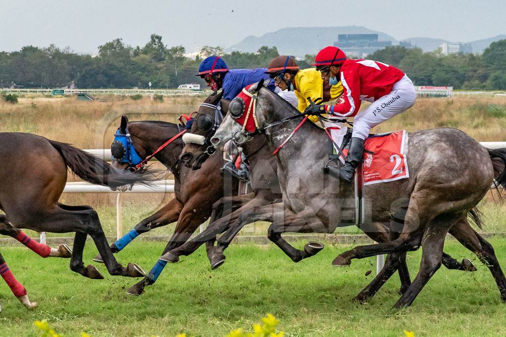 Indian horses racing in horse race at Pune racecourse, Maharashtra, India, 2021